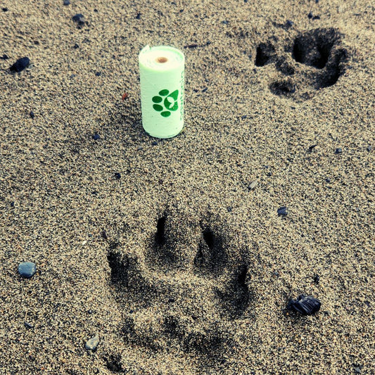 Why Eco-Friendly Pet Waste Bags Are Essential Even Though Your City Doesn't Collect Them Separately