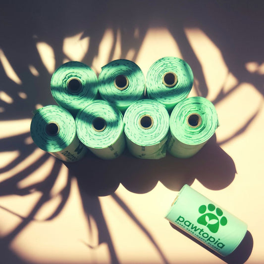 Green Pet Parenting: Raising Your Furry Friend with Sustainability