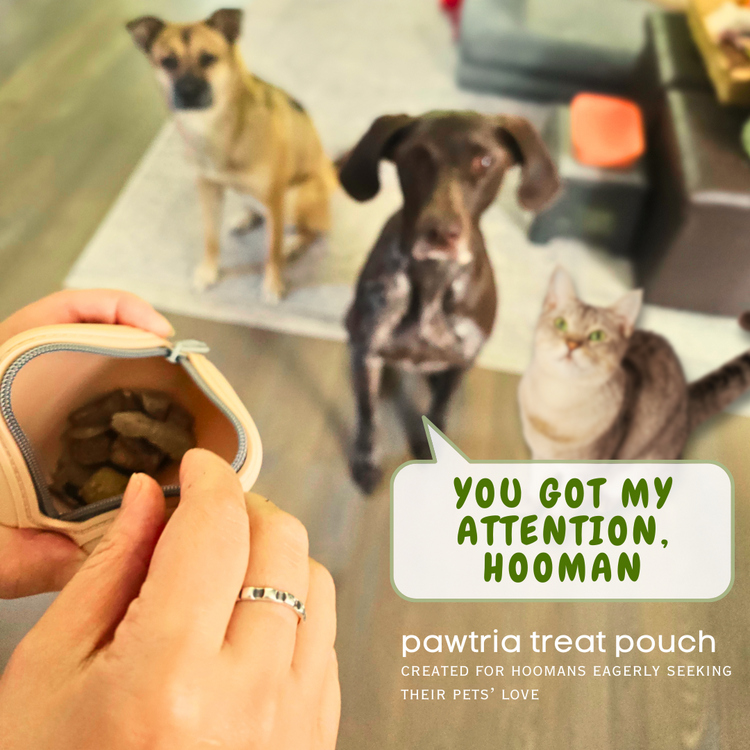 Silicone Pet Treat Pouch