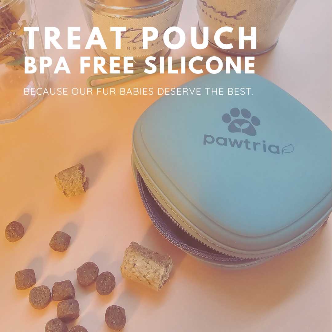 Pawtria Silicone Treat Pouch for Dogs and Cats (Green) BPA-Free Container