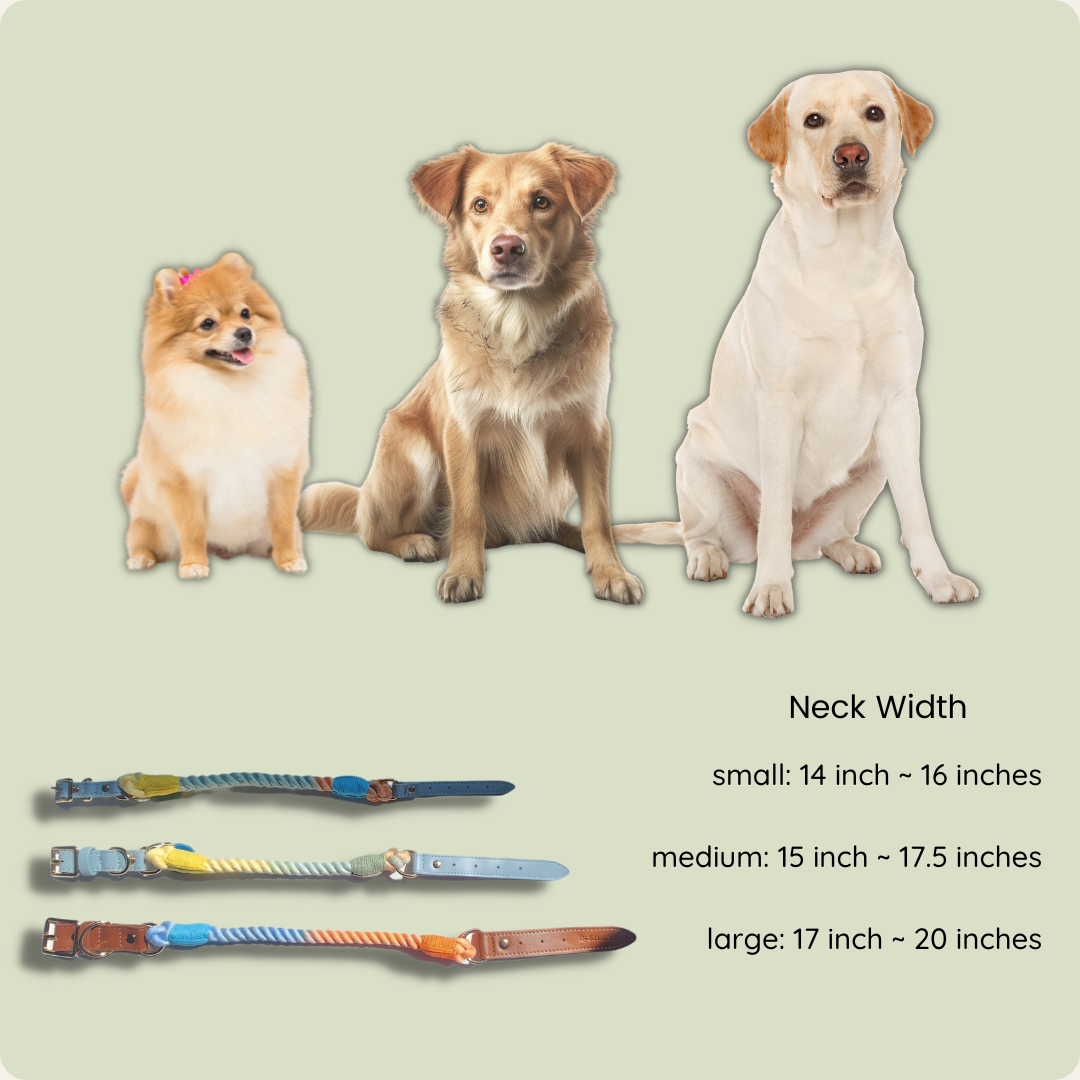 Cotton Braided Rope Collar for Medium Dogs, Vegan Leather Handle (Brown) with One Complimentary Roll of Dog Poop Bags (15 Bags), Durable Metal Buckle (Vivid Rainbow Color, Medium)