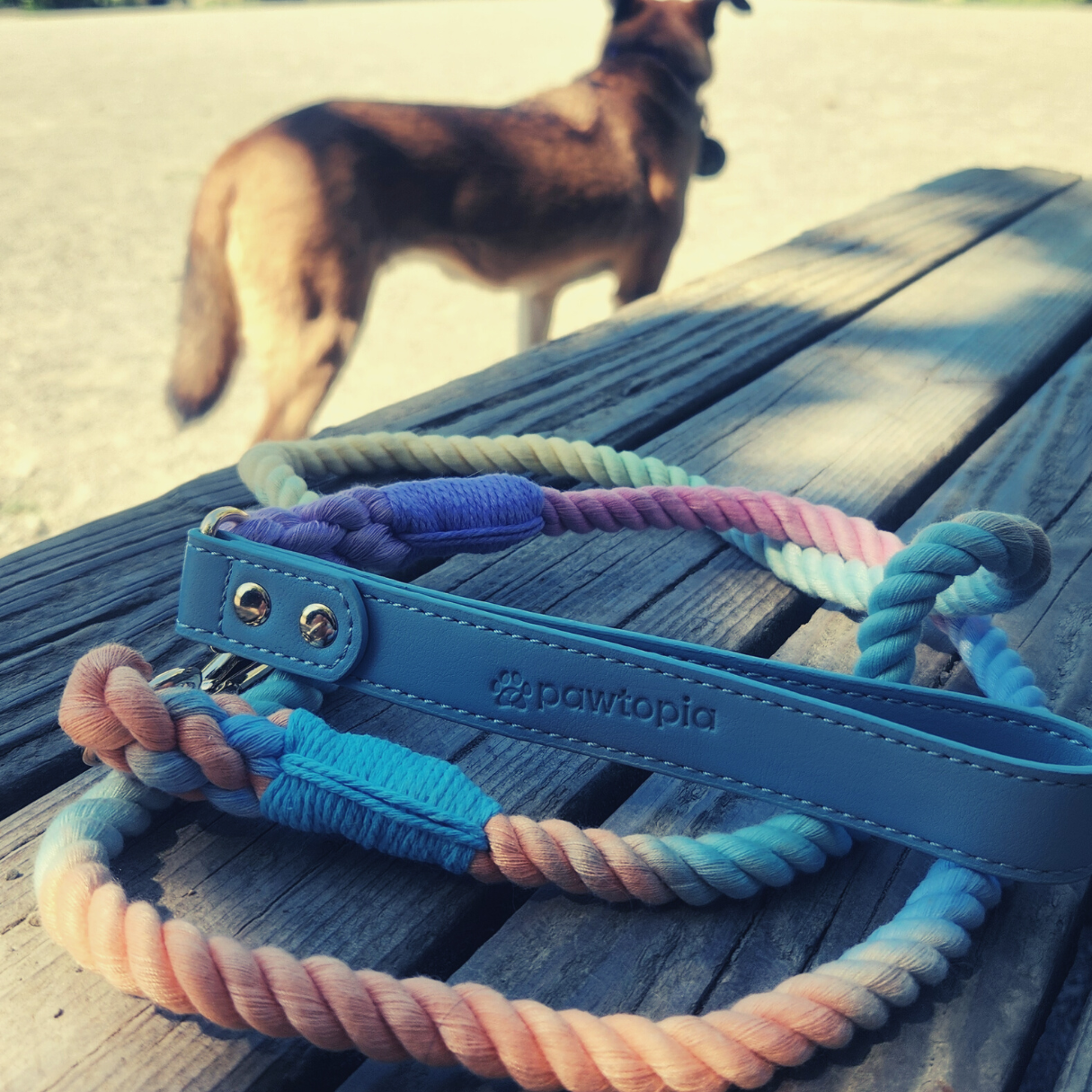 5FT Dog Leash & Collar Set - Medium Dogs, Cotton Rope with Vegan Leather Handle (Light Blue) with Two Complimentary Rolls of Dog Poop Bags (30 Bags), Durable Clasp (Soft Rainbow, Medium)
