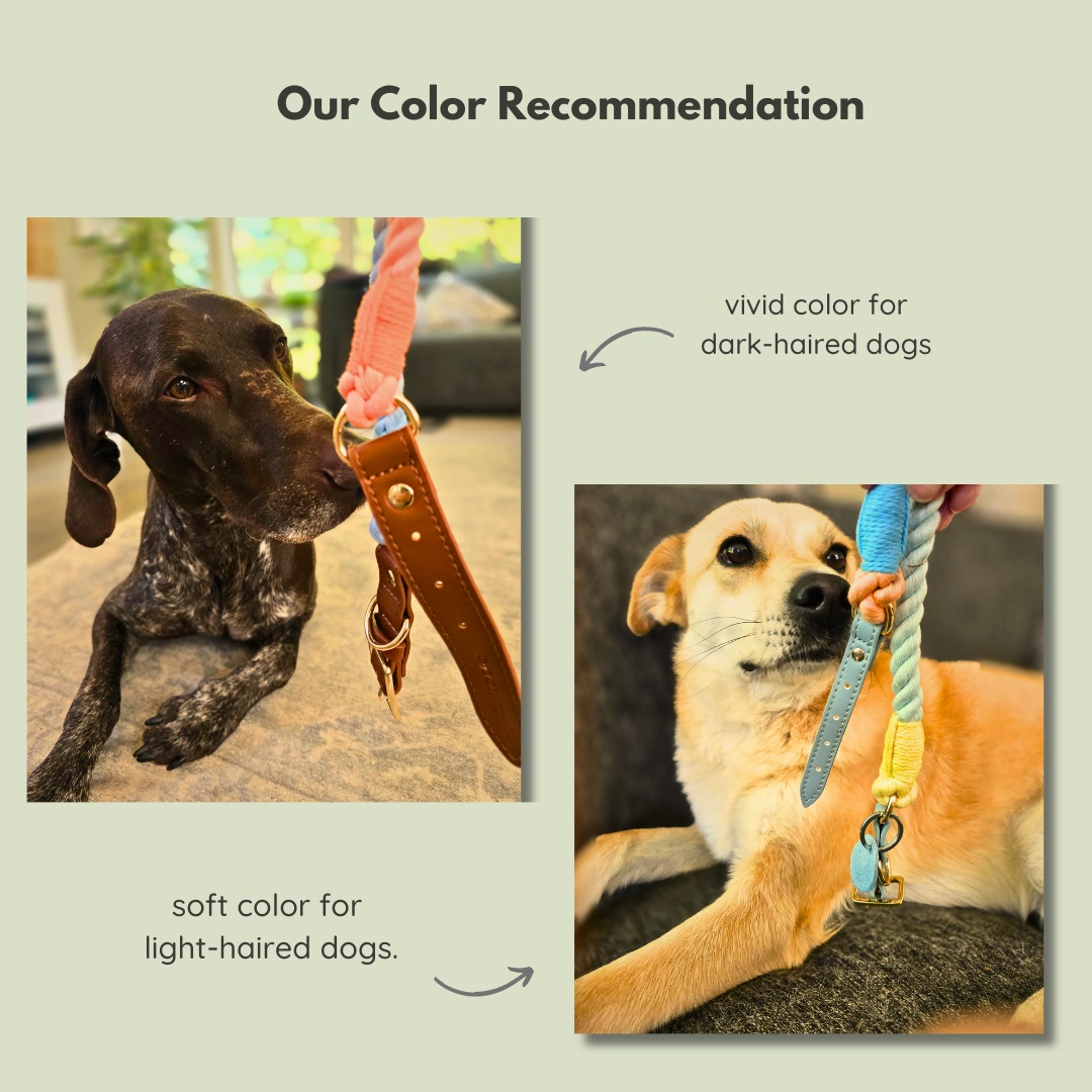 Cotton Braided Rope Collar for Medium Dogs, Vegan Leather Handle (Brown) with One Complimentary Roll of Dog Poop Bags (15 Bags), Durable Metal Buckle (Vivid Rainbow Color, Medium)