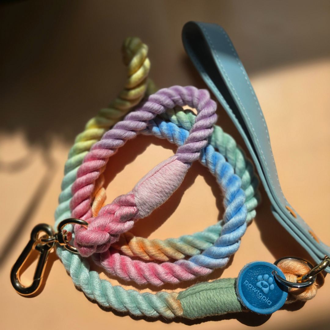 5FT Dog Leash & Collar Set-Small Dogs, Cotton Braided Rope with Vegan Leather Handle (Light Blue) with Two Complimentary Rolls of Dog Poop Bags (30 Bags), Durable Clasp (Soft Rainbow, Small)