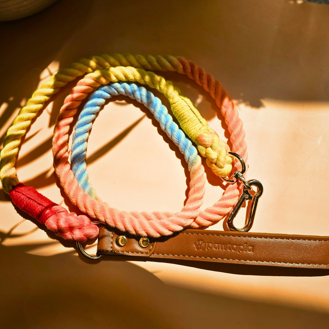 5FT Dog Leash, Cotton Braided Rope with Vegan Leather Handle (Brown) with One Complimentary Rolls of Dog Poop Bags (15 Bags), Durable Clasp (Vivid Rainbow)