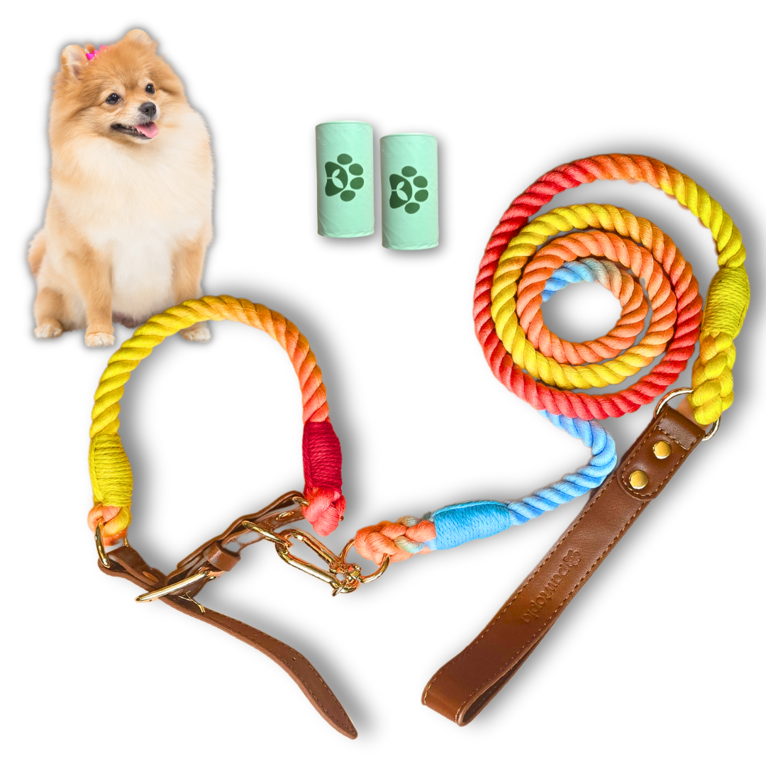 5FT Dog Leash & Collar Set - Small Dogs, Cotton Braided Rope with Vegan Leather Handle (Brown) with Two Complimentary Rolls of Dog Poop Bags (30 Bags), Durable Clasp (Vivid Rainbow, Small)