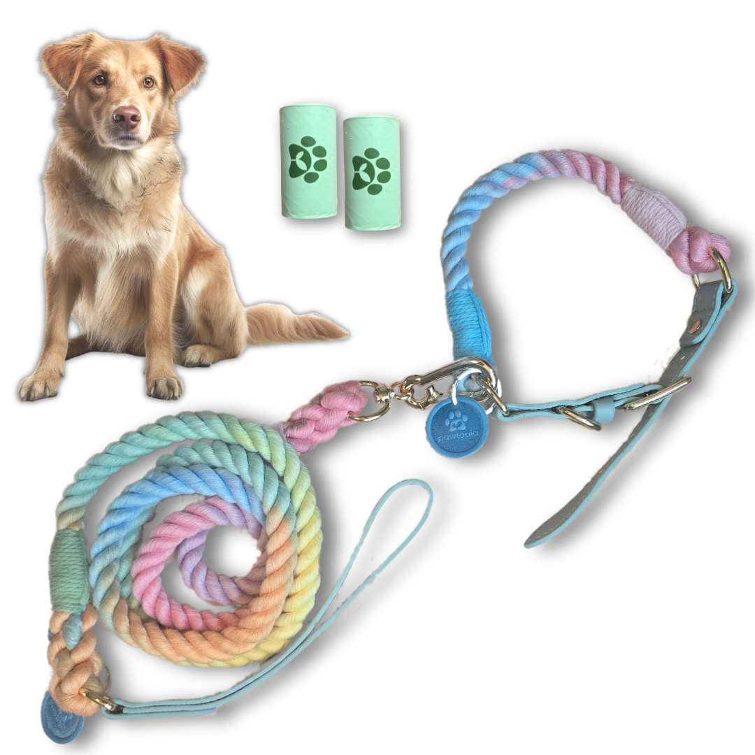 5FT Dog Leash & Collar Set - Medium Dogs, Cotton Rope with Vegan Leather Handle (Light Blue) with Two Complimentary Rolls of Dog Poop Bags (30 Bags), Durable Clasp (Soft Rainbow, Medium)