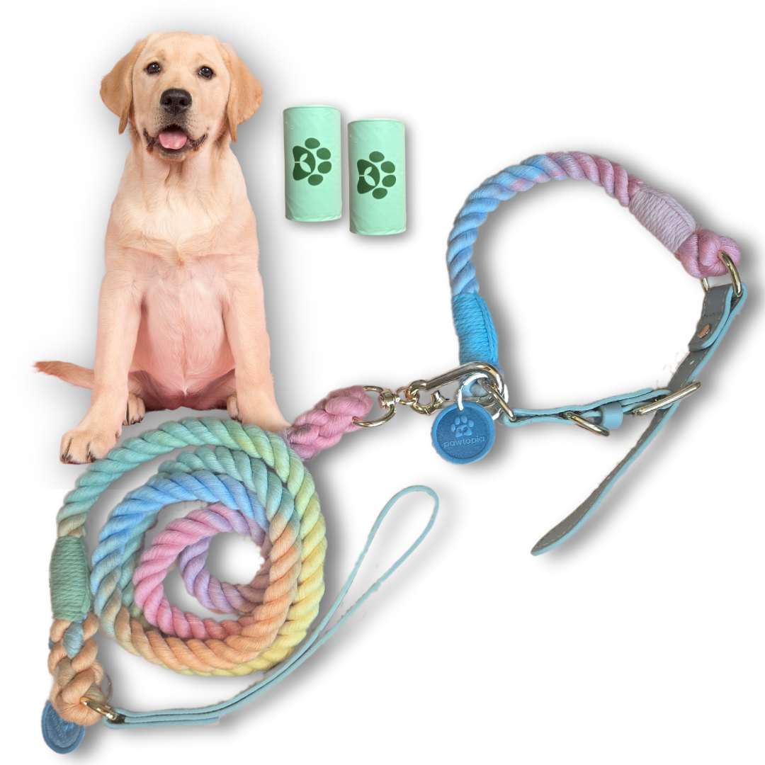 5FT Dog Leash & Collar Set-Large Dogs, Cotton Braided Rope with Vegan Leather Handle (Light Blue) with Two Complimentary Rolls of Dog Poop Bags (30 Bags), Durable Clasp (Soft Rainbow, Large)