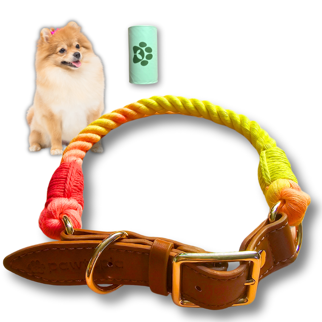 Cotton Braided Rope Collar for Small Dogs, Vegan Leather Handle (Brown) with One Complimentary Roll of Dog Poop Bags (15 Bags), Durable Metal Buckle (Vivid Rainbow Color, Small)