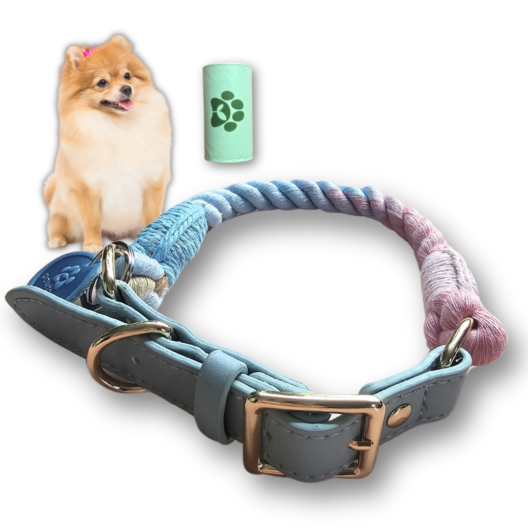 Cotton Braided Rope Collar for Small Dogs, Vegan Leather Handle (Light Blue) with One Complimentary Roll of Dog Poop Bags (15 Bags), Durable Metal Buckle (Soft Rainbow Color, Small)