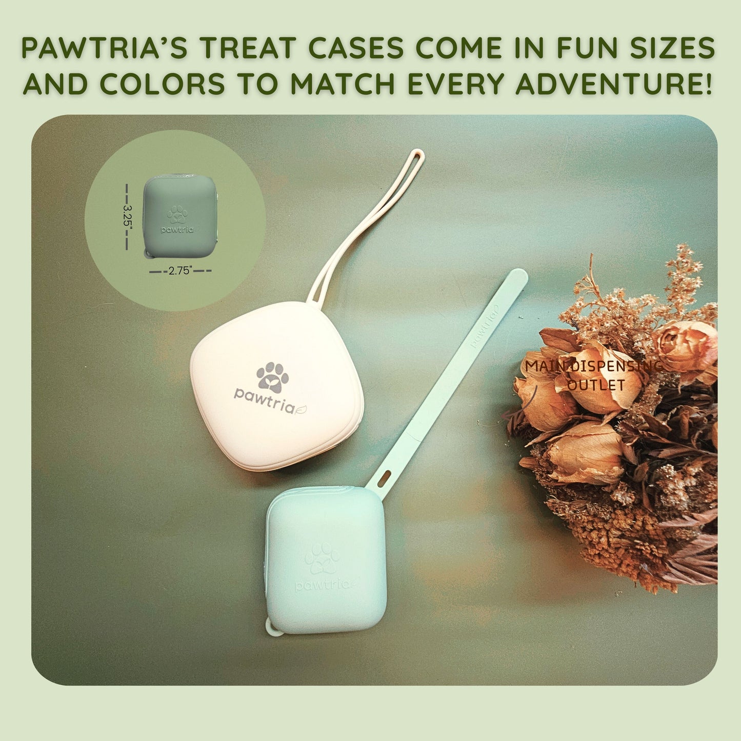 Pawtria Small BPA Free Silicone Dog Treat Pouch (Light Green)