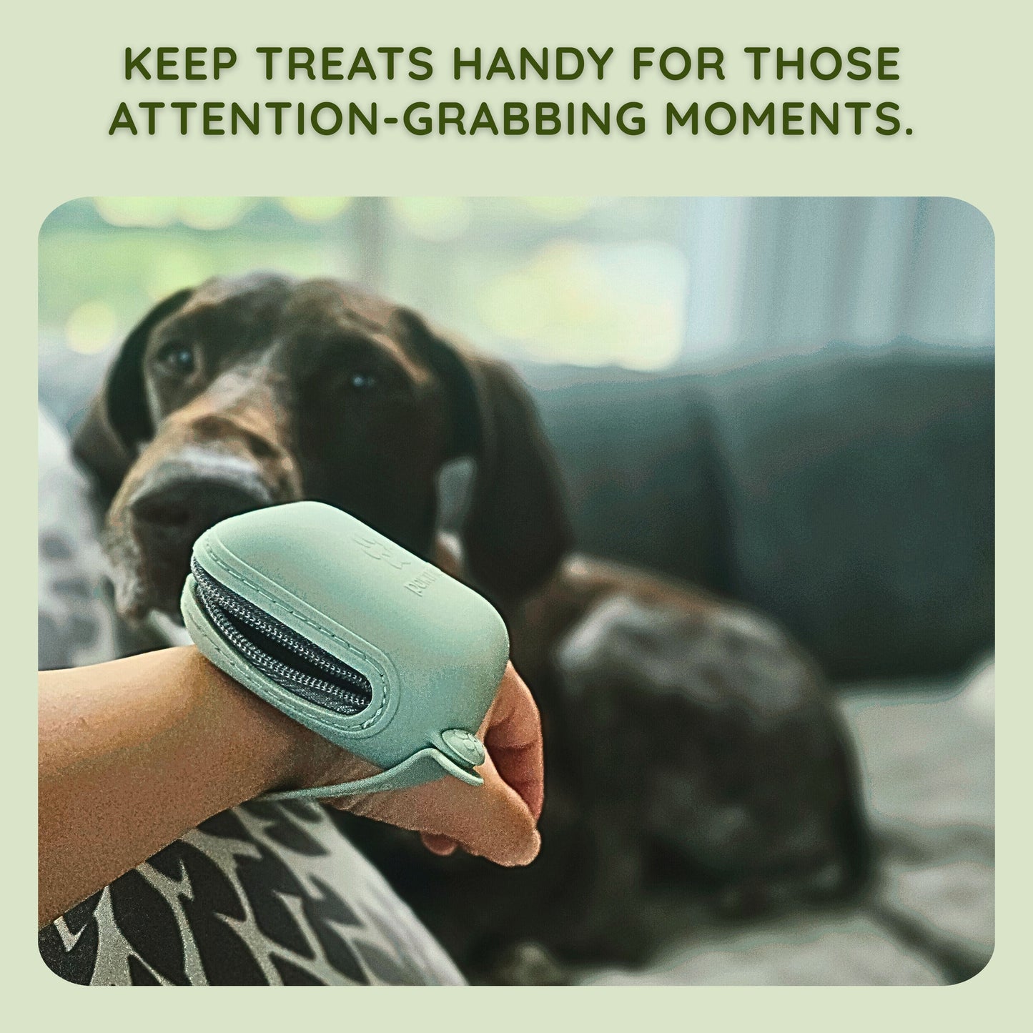 Pawtria Small BPA Free Silicone Dog Treat Pouch (Light Green)