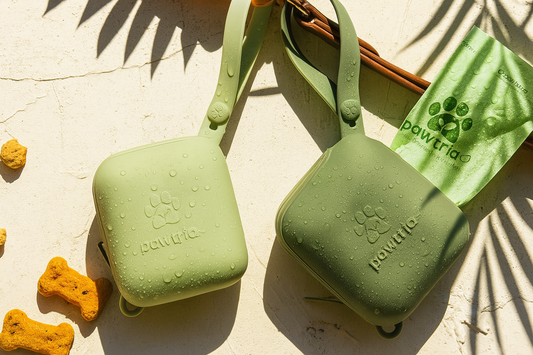 Why Silicone is More Eco-Friendly Than Plastic and How Pawtria Embraces Sustainability