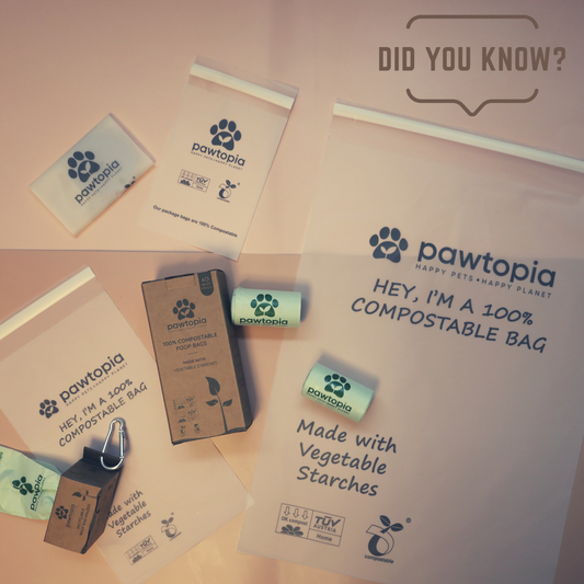 What does "Eco-friendly" pet parenting really mean at Pawtopia?