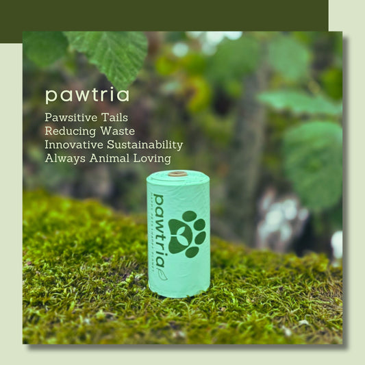 Pawtopia? Pawtria! Our Exciting Rebrand and What It Means for You