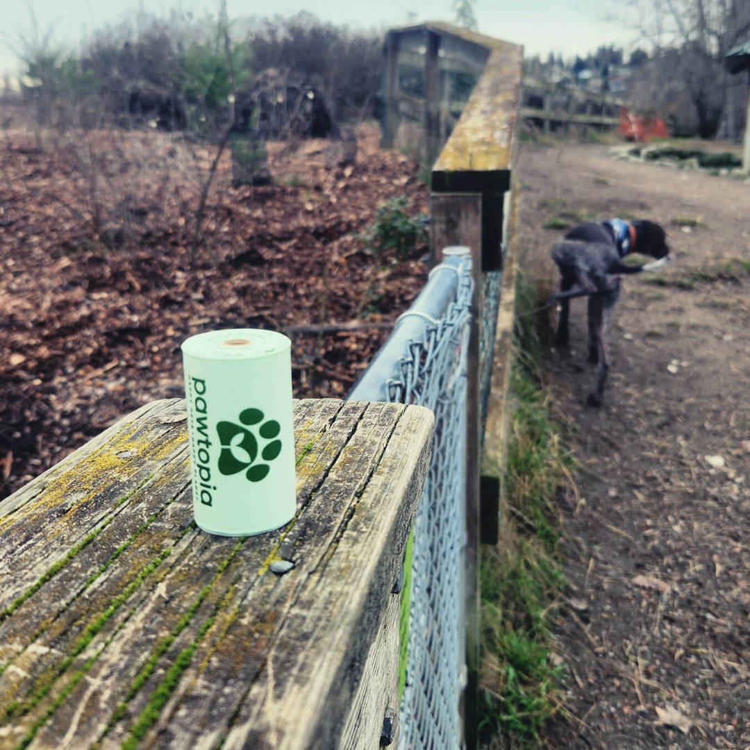 Load video: Pawtopia home compostable dog poop bags 240 bags