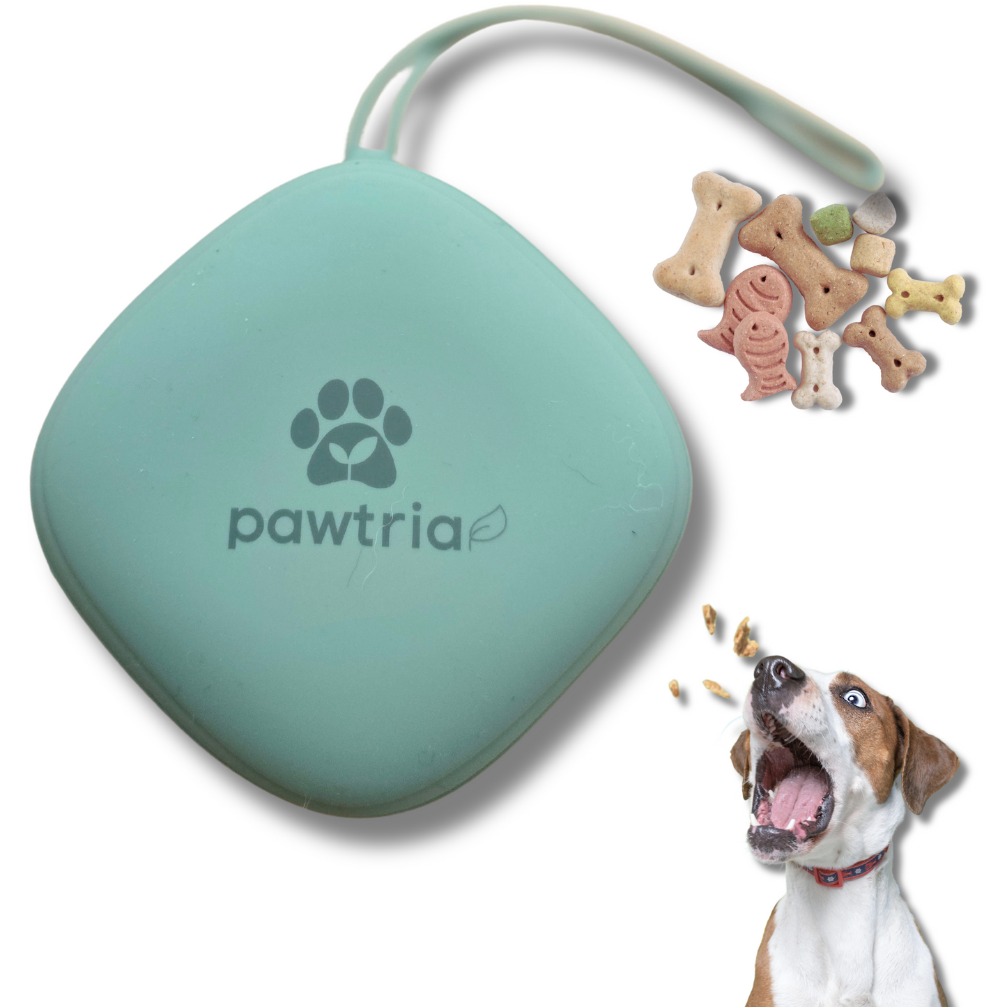 Pawtria Silicone Treat Pouch for Dogs and Cats (Green) BPA-Free Container