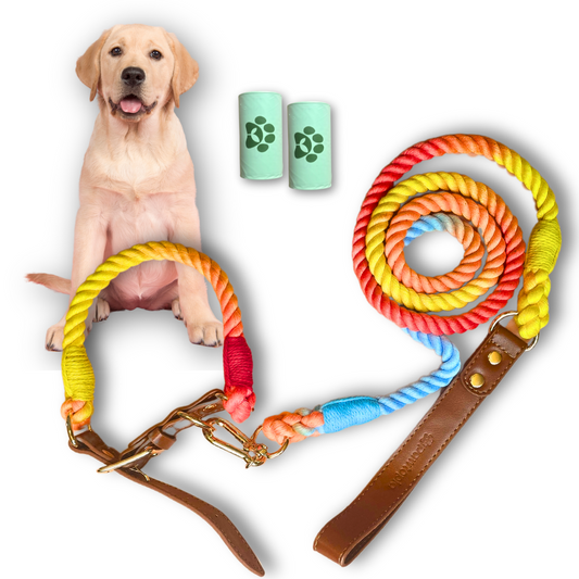 5FT Dog Leash & Collar Set - Large Dogs, Cotton Braided Rope with Vegan Leather Handle (Brown) with Two Complimentary Rolls of Dog Poop Bags (30 Bags), Durable Clasp (Vivid Rainbow, Large)