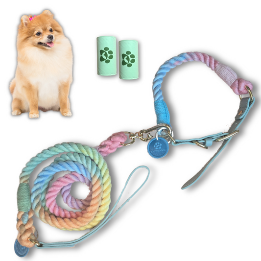 5FT Dog Leash & Collar Set-Small Dogs, Cotton Braided Rope with Vegan Leather Handle (Light Blue) with Two Complimentary Rolls of Dog Poop Bags (30 Bags), Durable Clasp (Soft Rainbow, Small)