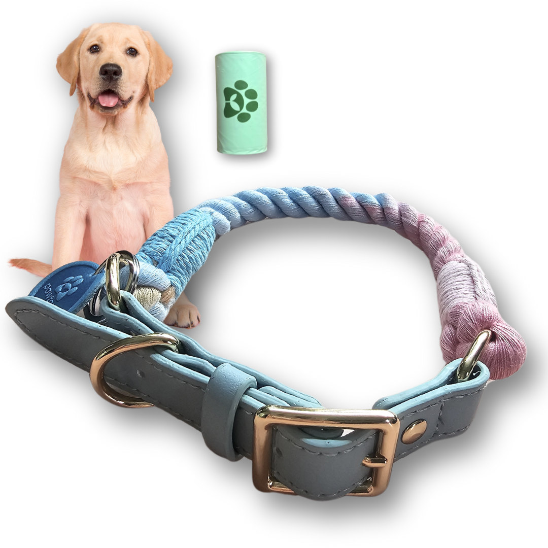 Cotton Braided Rope Collar for Large Dogs, Vegan Leather Handle (Light Blue) with One Complimentary Roll of Dog Poop Bags (15 Bags), Durable Metal Buckle (Soft Rainbow Color, Large)